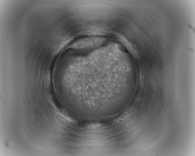 X0000097770202200803211744