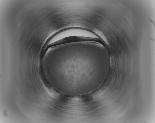 X0000097770204200803211744