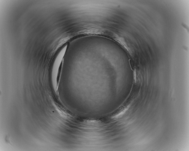 X0000097770205200803211744