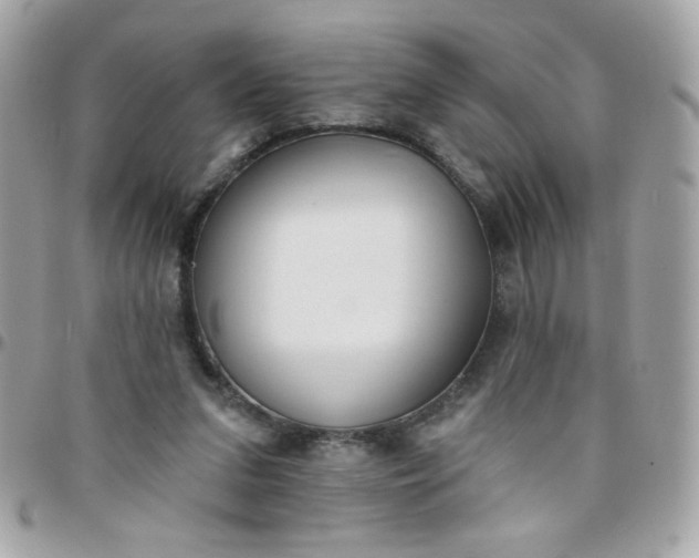 X0000097770207200803211744