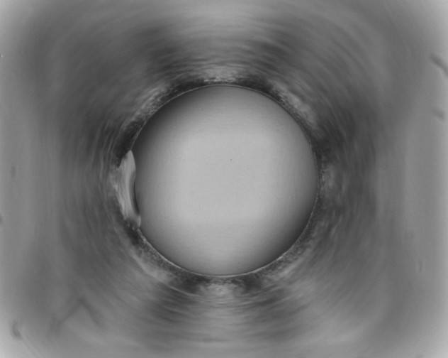 X0000097770209200803211744