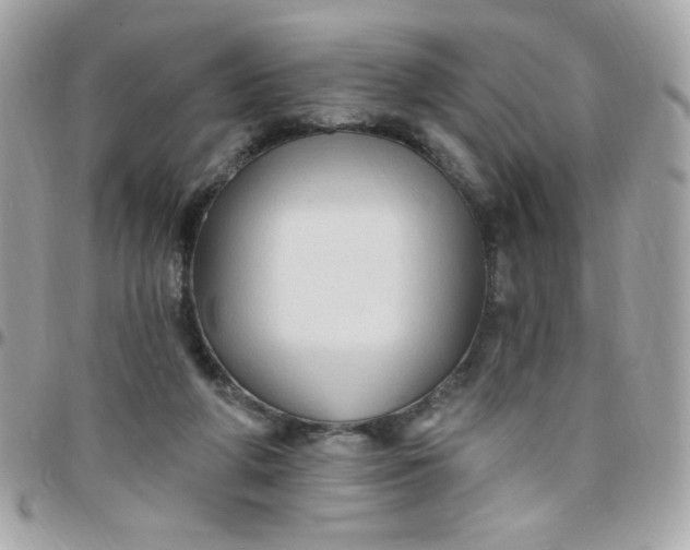 X0000097770210200803211744