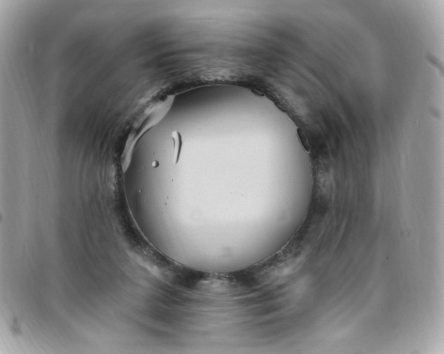 X0000097770211200803211744