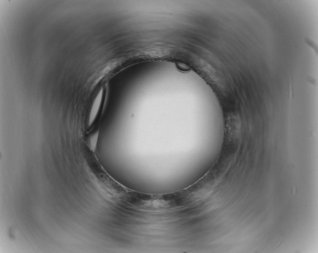 X0000097770212200803211744