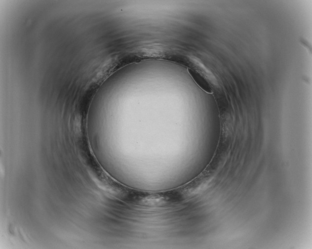 X0000097770213200803211744