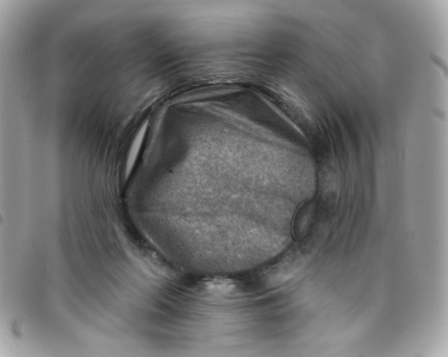 X0000097770214200803211744