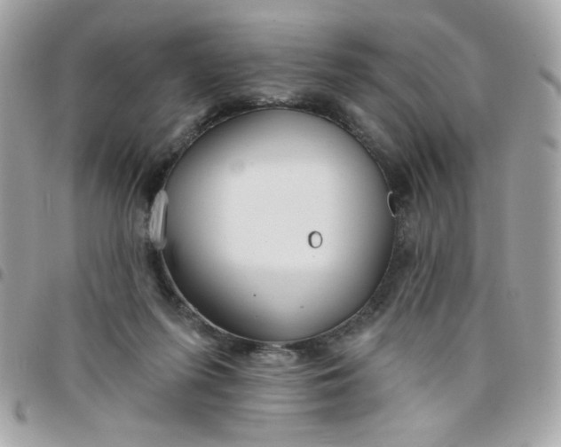 X0000097770215200803211744