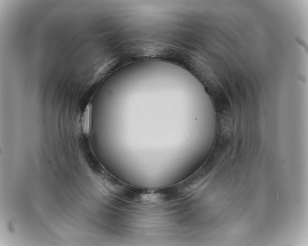 X0000097770216200803211744