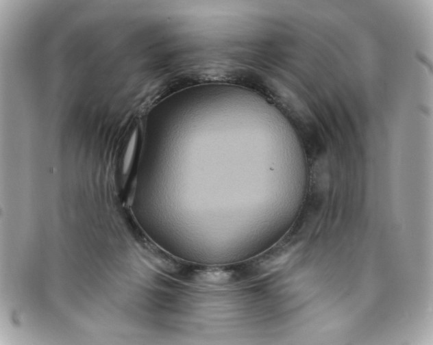 X0000097770217200803211744