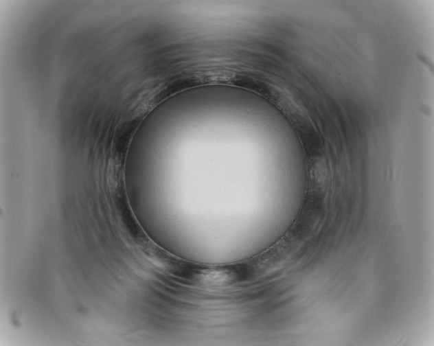 X0000097770218200803211744