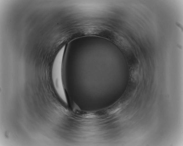 X0000097770219200803211744