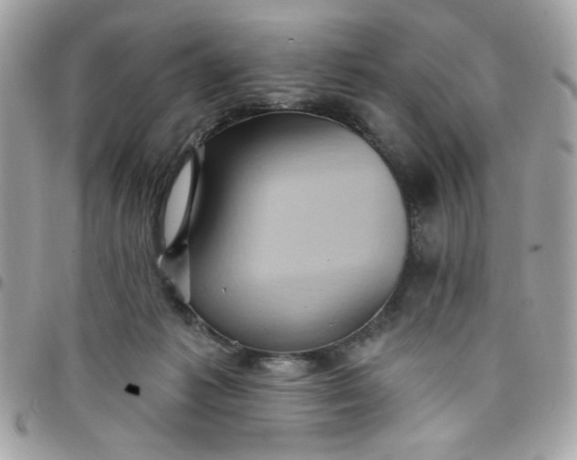 X0000097770221200803211743