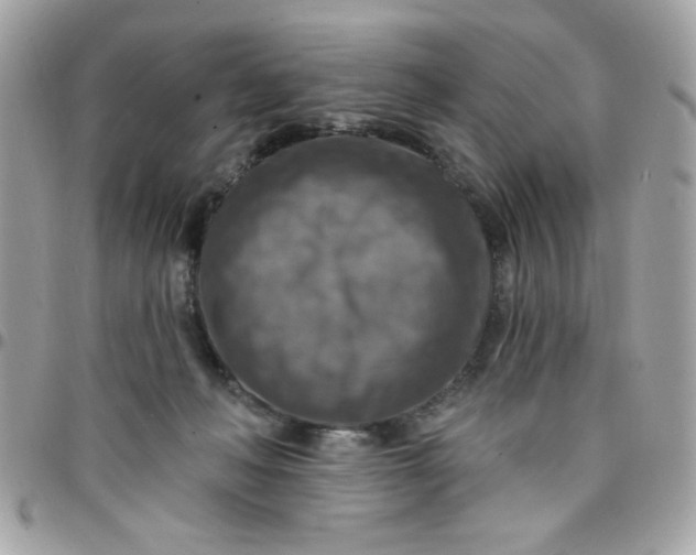 X0000097770222200803211743