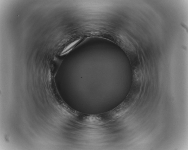 X0000097770223200803211743