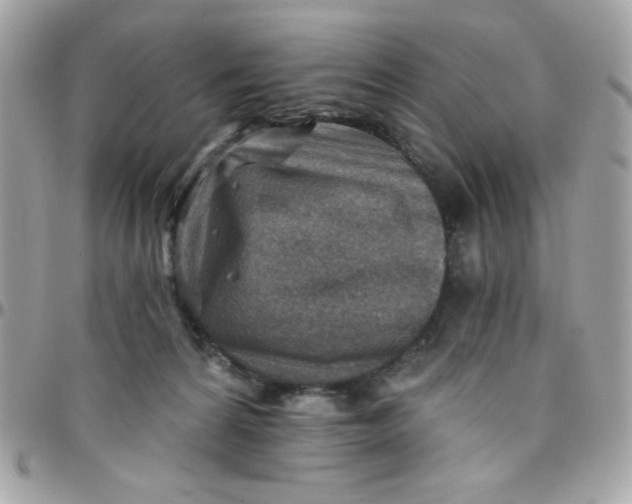 X0000097770224200803211743