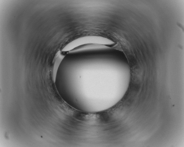 X0000097770225200803211743