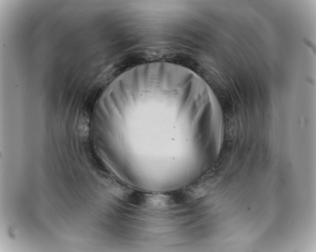 X0000097770226200803211743