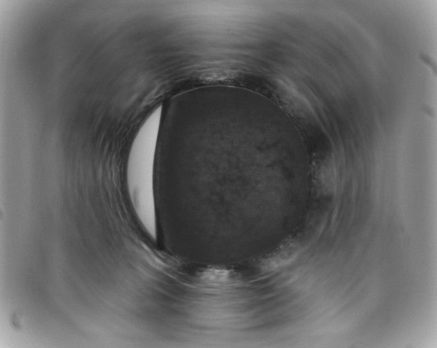 X0000097770227200803211743