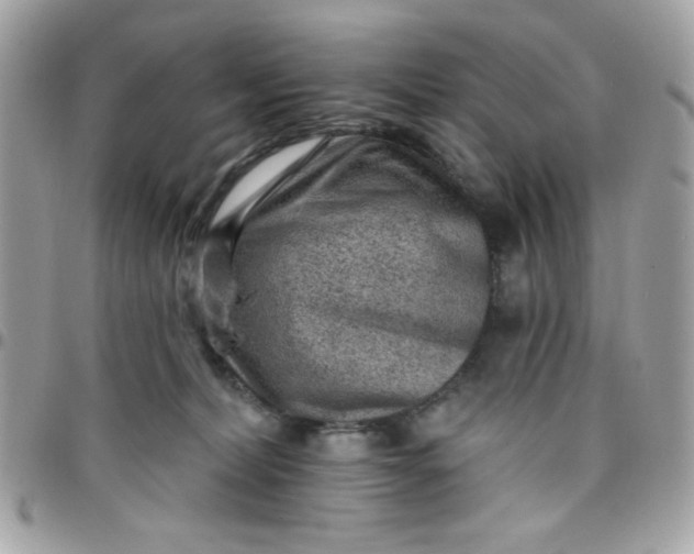 X0000097770228200803211743