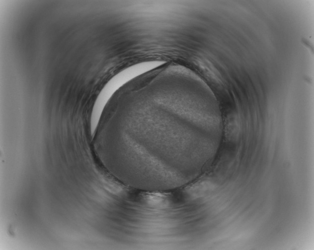 X0000097770229200803211743