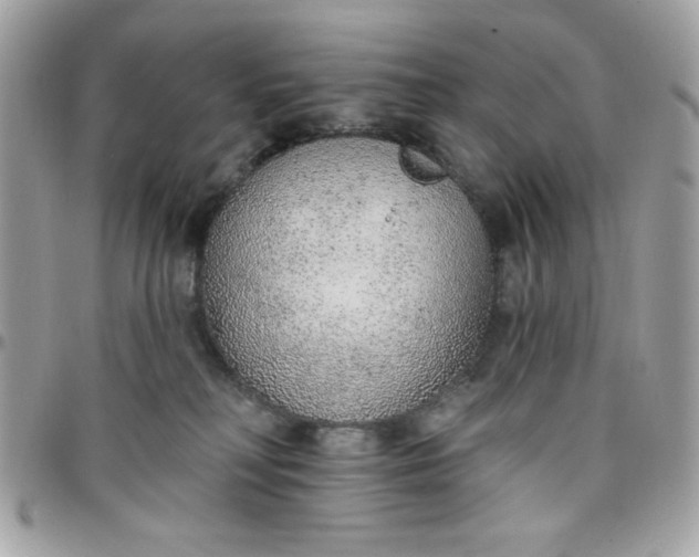 X0000097770230200803211743