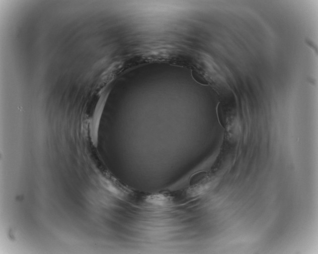 X0000097770231200803211743