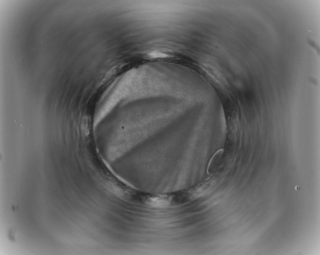 X0000097770232200803211743