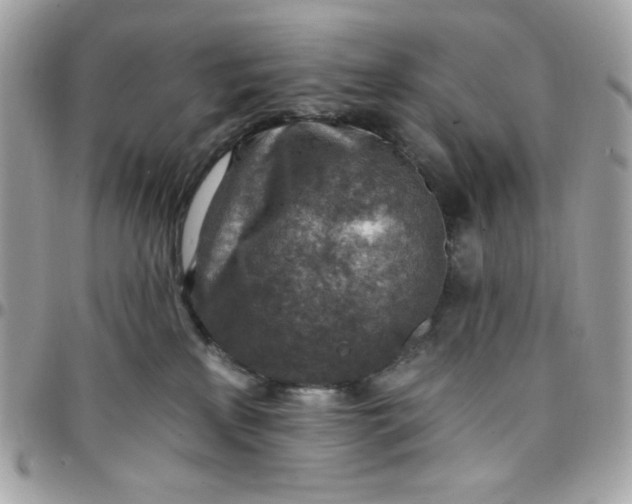 X0000097770233200803211743