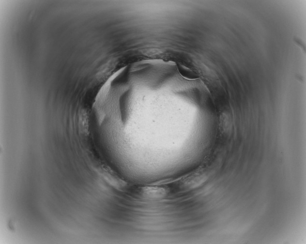 X0000097770234200803211743