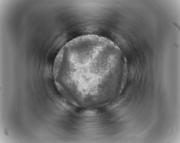 X0000097770236200803211743