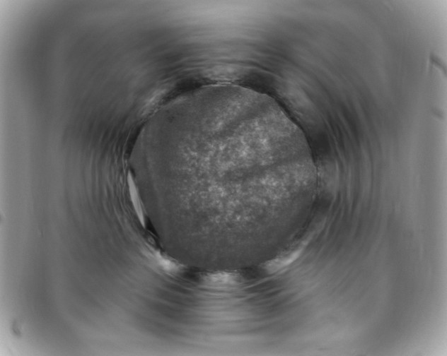 X0000097770237200803211743