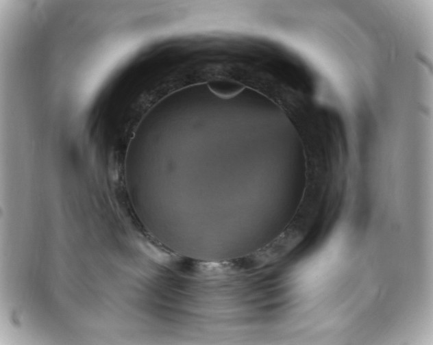 X0000097770239200803211743