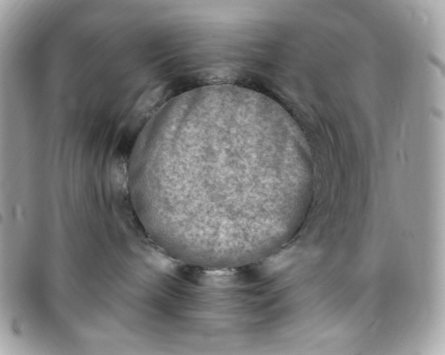 X0000097770240200803211743