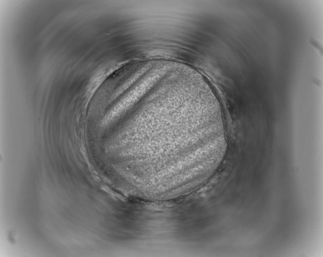 X0000097770241200803211743