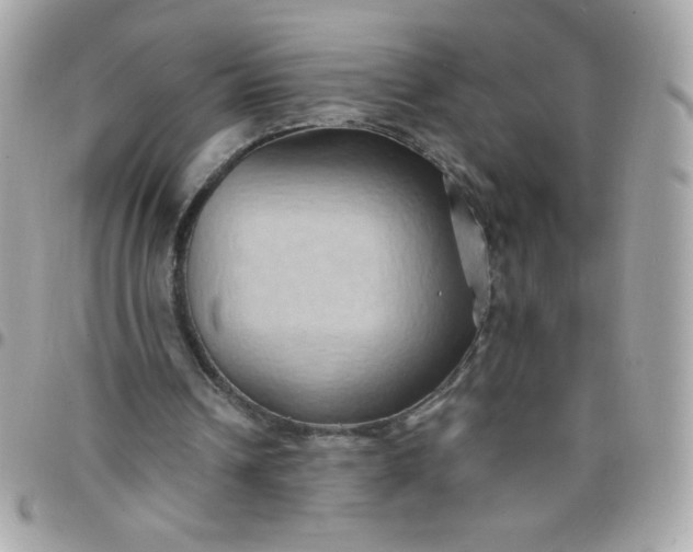 X0000097770242200803211743