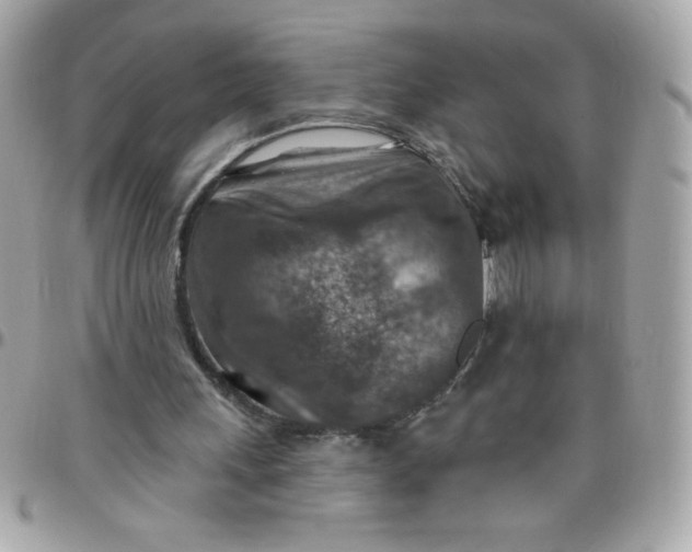 X0000097770243200803211743