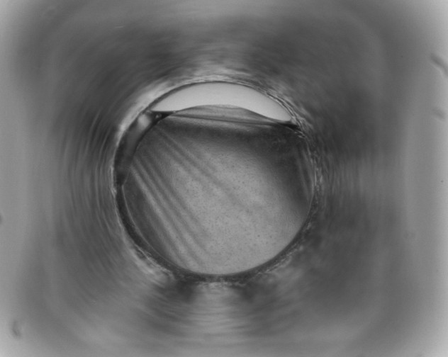 X0000097770244200803211743