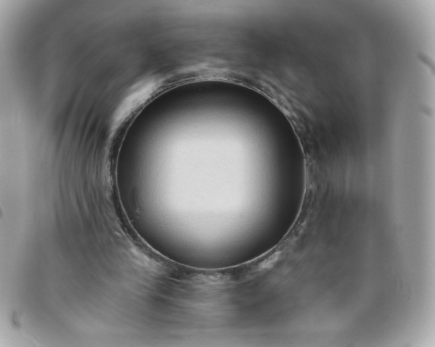 X0000097770245200803211743