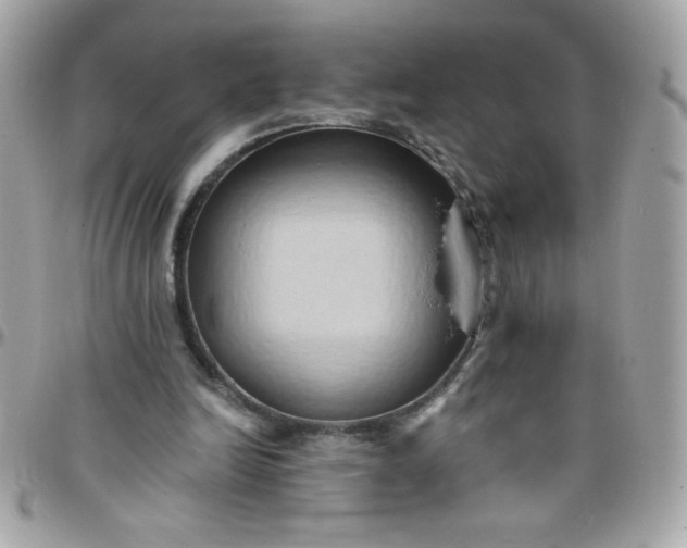 X0000097770246200803211743