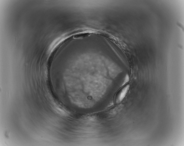 X0000097770247200803211743