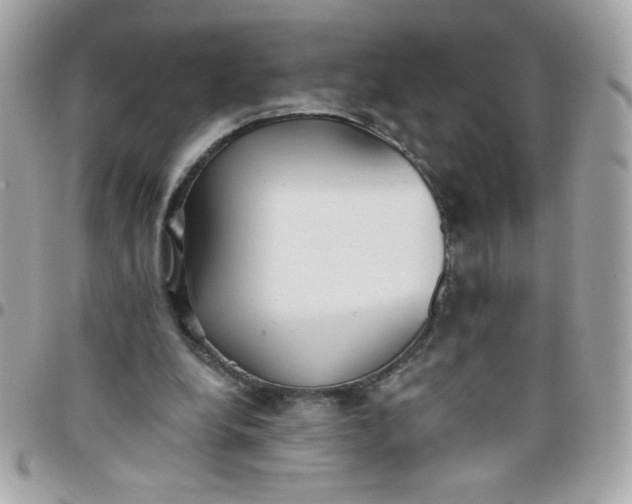 X0000097770248200803211743