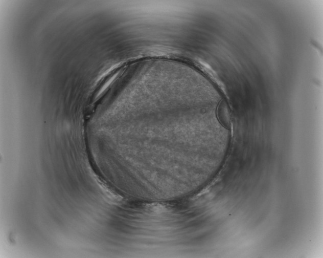 X0000097770249200803211743