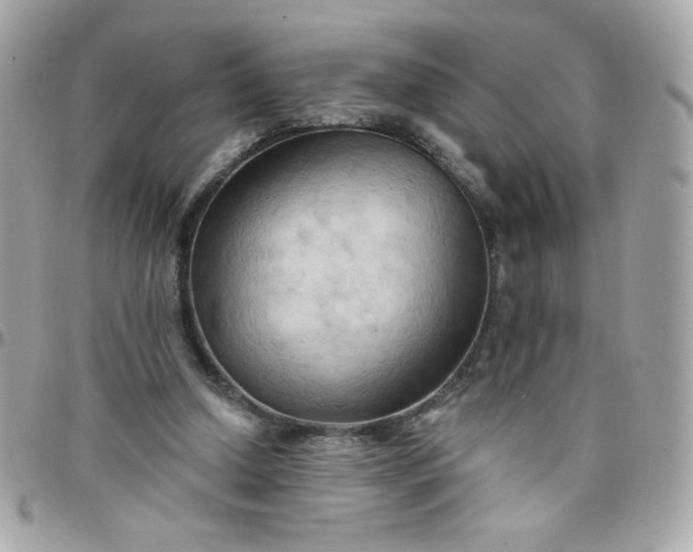 X0000097770250200803211743