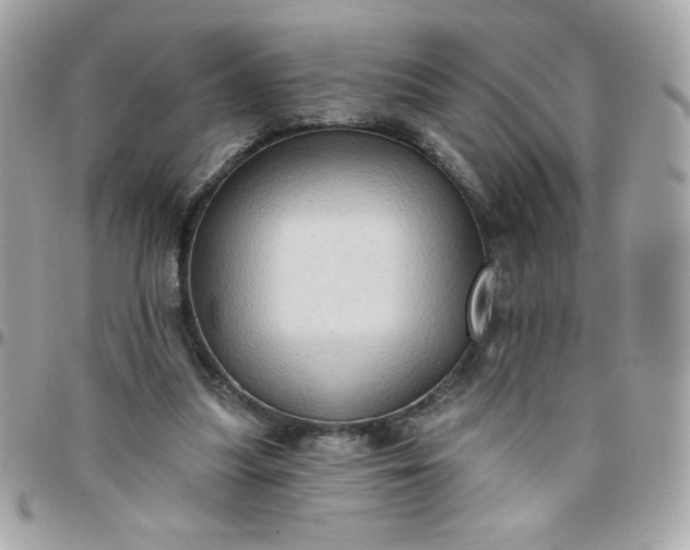 X0000097770251200803211743