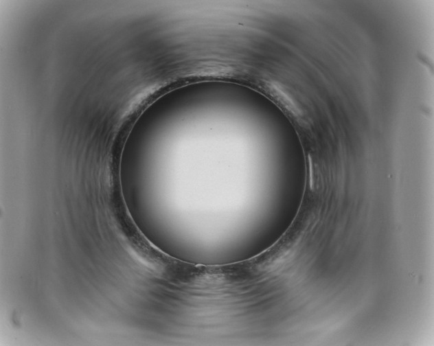 X0000097770252200803211743