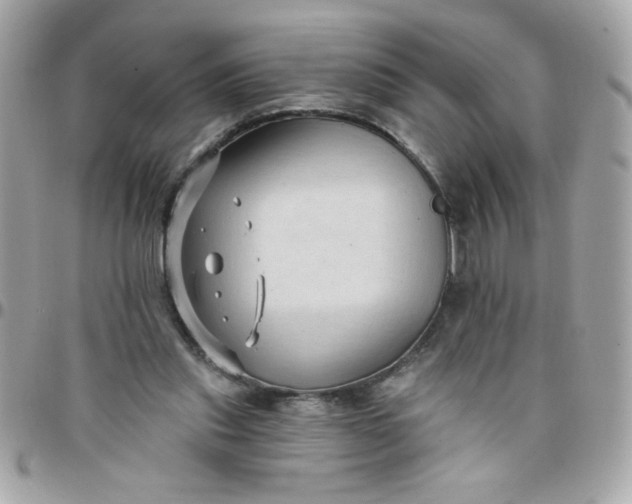 X0000097770253200803211743