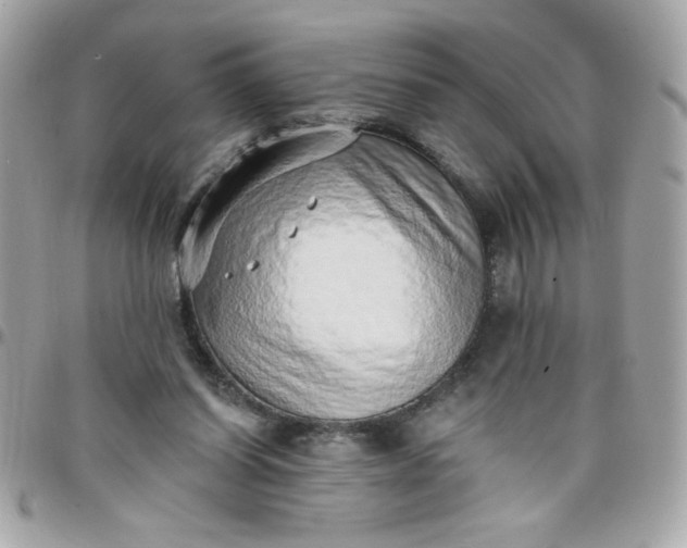 X0000097770254200803211743