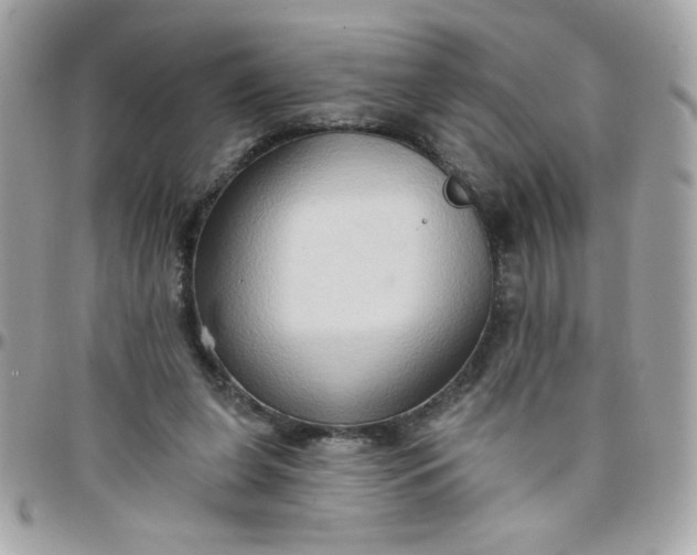 X0000097770255200803211743