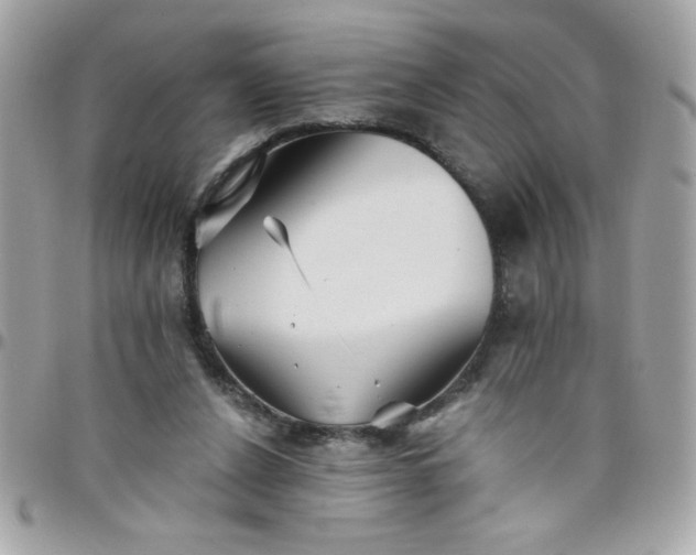 X0000097770256200803211743