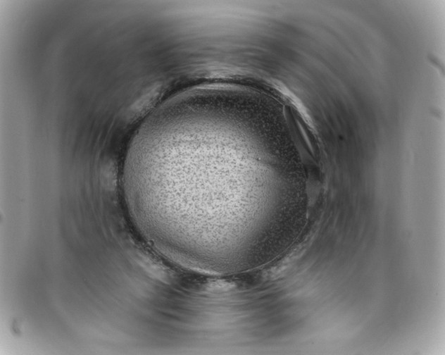 X0000097770257200803211743